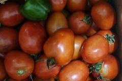 tomato