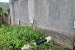 veg12