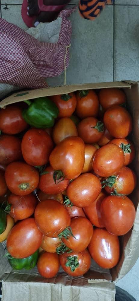 Organic vegetable garden harvest