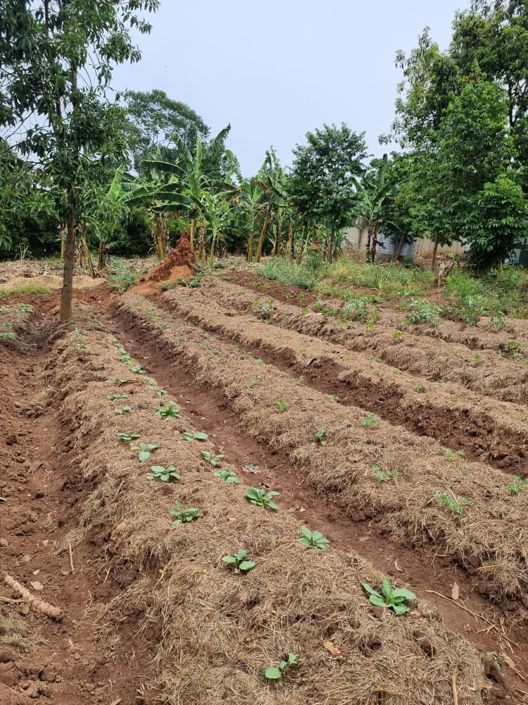 Community water conservation project
