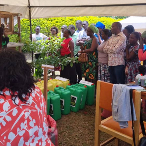 Farmers learning beekeeping techniques