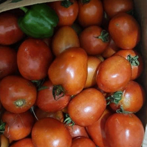 Organic Crops